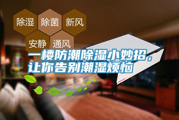 一樓防潮除濕小妙招，讓你告別潮濕煩惱