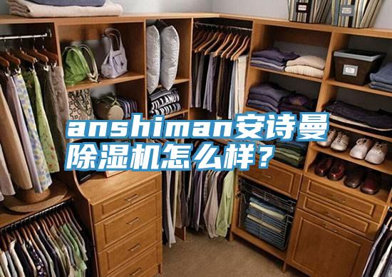 anshiman安詩曼除濕機怎么樣？
