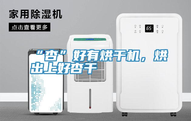 “杏”好有烘干機(jī)，烘出上好杏干