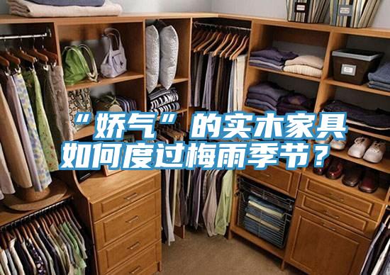 “嬌氣”的實木家具如何度過梅雨季節(jié)？