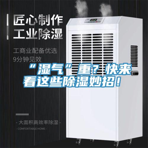 “濕氣”重？快來看這些除濕妙招！