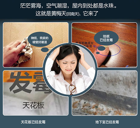家庭別墅的地下室、衛生間、儲物室等該如何除濕？