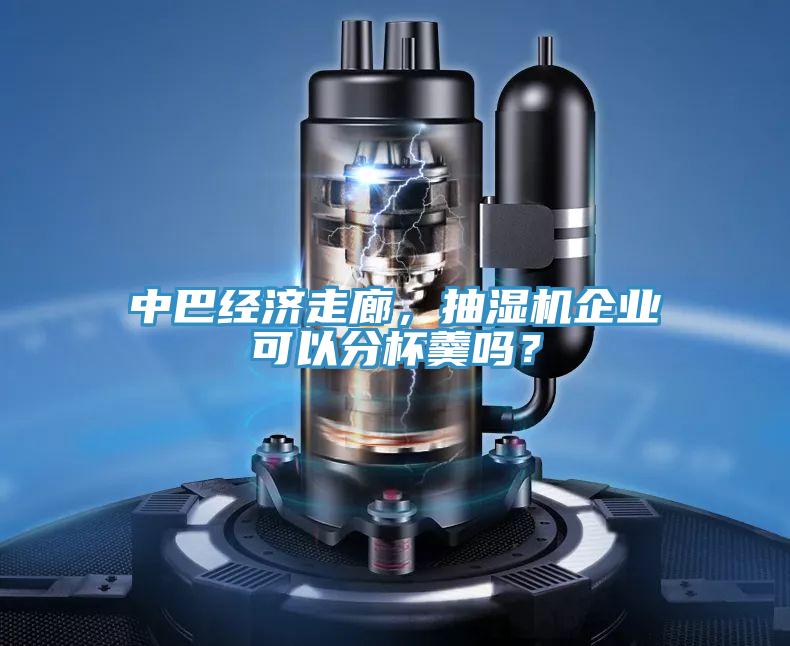 中巴經濟走廊，抽濕機企業可以分杯羹嗎？