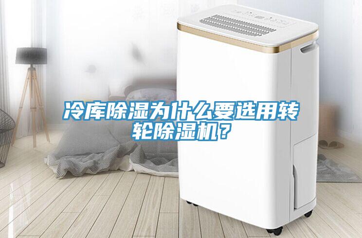 冷庫(kù)除濕為什么要選用轉(zhuǎn)輪除濕機(jī)？