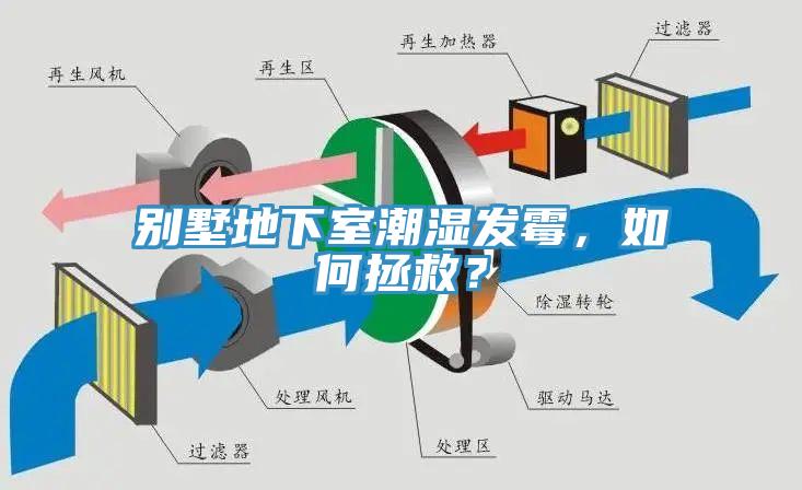 別墅地下室潮濕發霉，如何拯救？