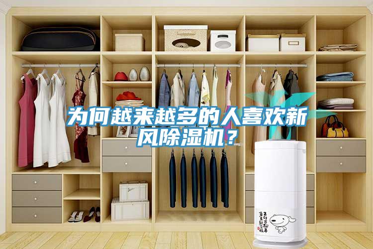 為何越來越多的人喜歡新風除濕機？