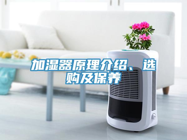 加濕器原理介紹、選購及保養