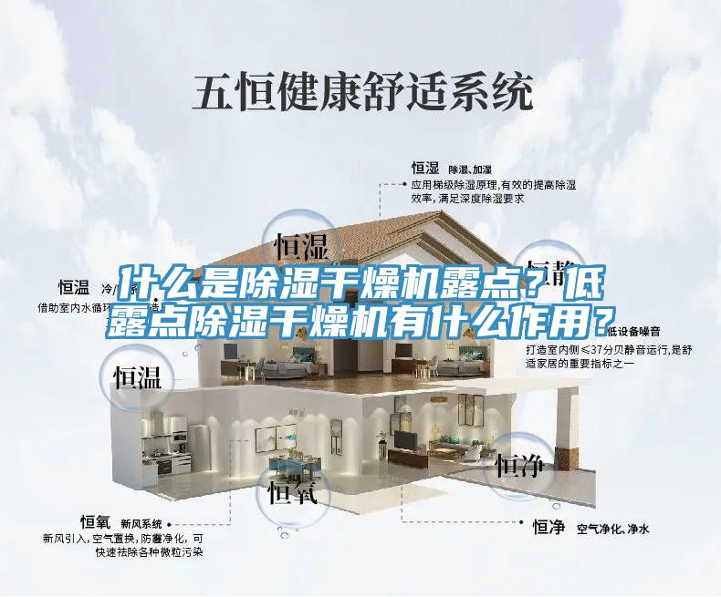 什么是除濕干燥機露點？低露點除濕干燥機有什么作用？
