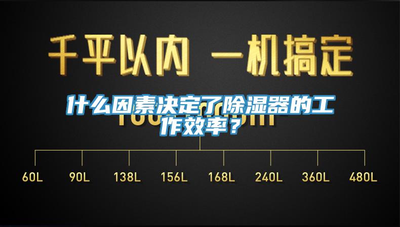 什么因素決定了除濕器的工作效率？