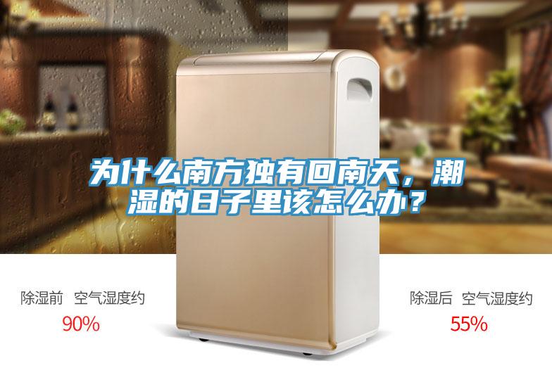 為什么南方獨有回南天，潮濕的日子里該怎么辦？