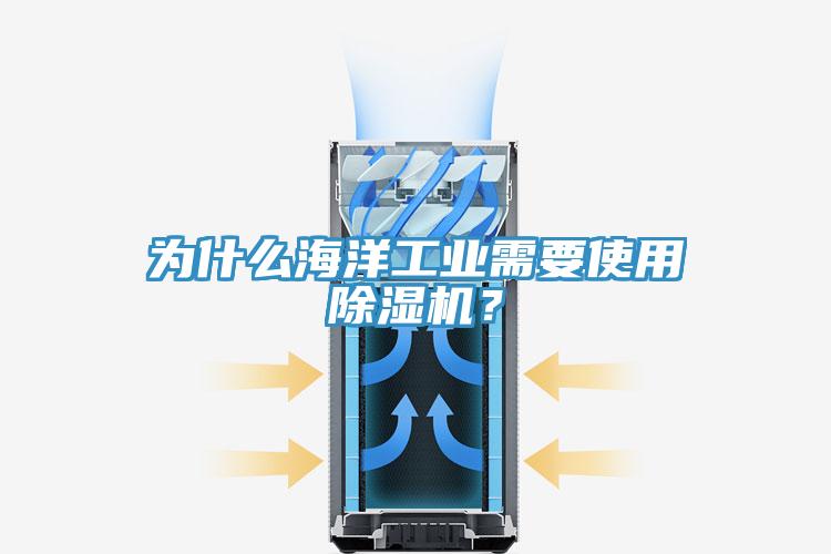 為什么海洋工業需要使用除濕機？