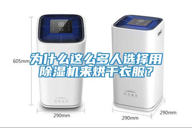 為什么這么多人選擇用除濕機來烘干衣服？