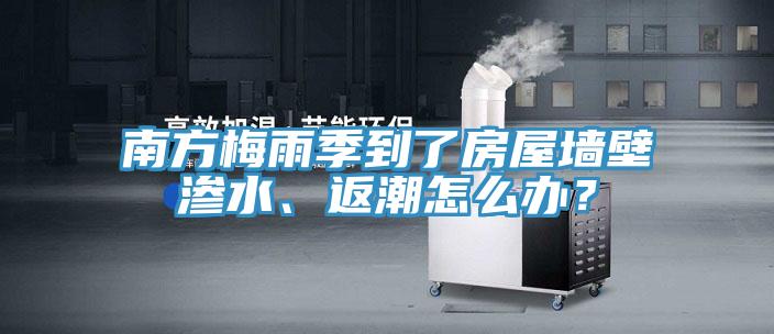 南方梅雨季到了房屋墻壁滲水、返潮怎么辦？