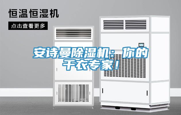 安詩曼除濕機：你的干衣專家！