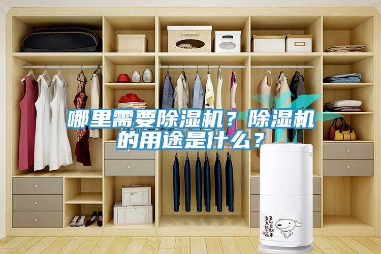 哪里需要除濕機？除濕機的用途是什么？