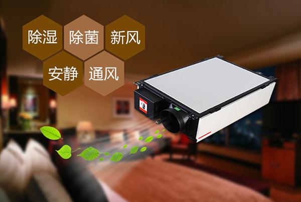 廈門除濕機怎么選？