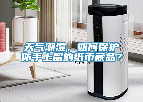 天氣潮濕，如何保護(hù)你手上留的紙幣藏品？
