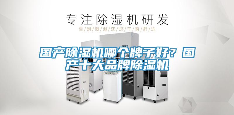 國產(chǎn)除濕機哪個牌子好？國產(chǎn)十大品牌除濕機