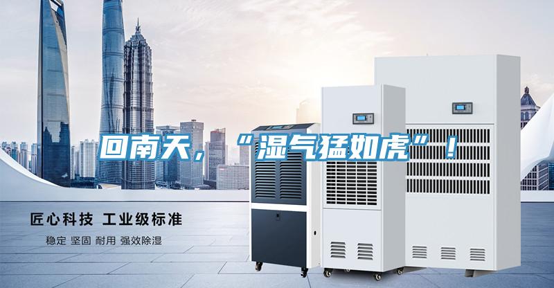 回南天，“濕氣猛如虎”！
