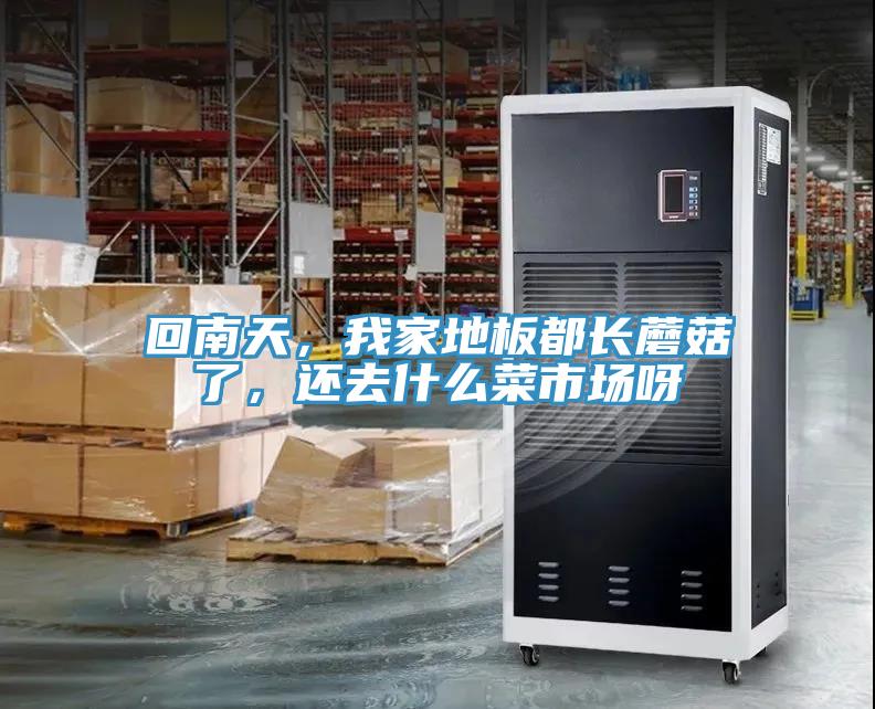 回南天，我家地板都長蘑菇了，還去什么菜市場呀