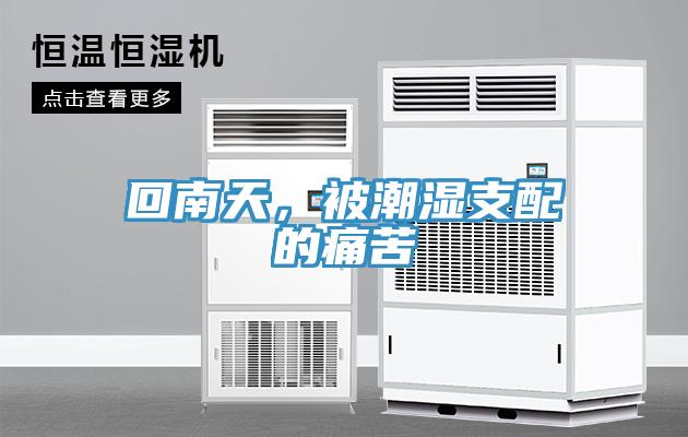 回南天，被潮濕支配的痛苦