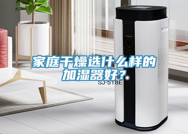 家庭干燥選什么樣的加濕器好？