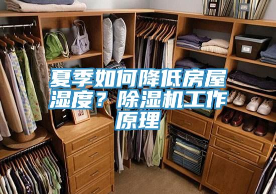 夏季如何降低房屋濕度？除濕機工作原理