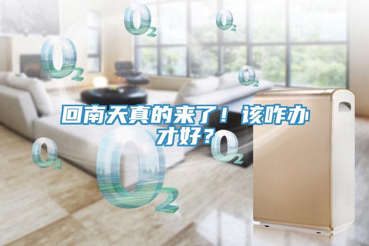回南天真的來了！該咋辦才好？
