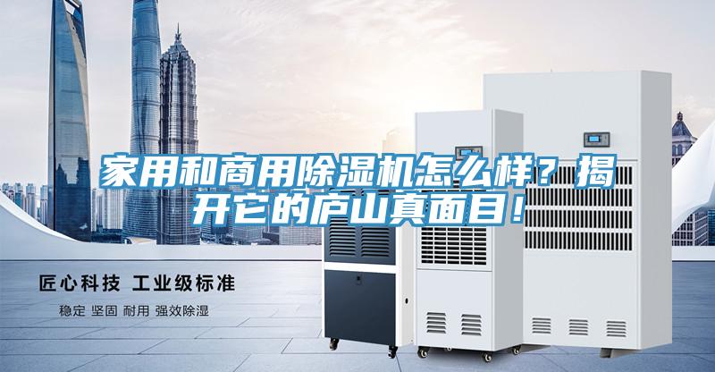 家用和商用除濕機怎么樣？揭開它的廬山真面目！