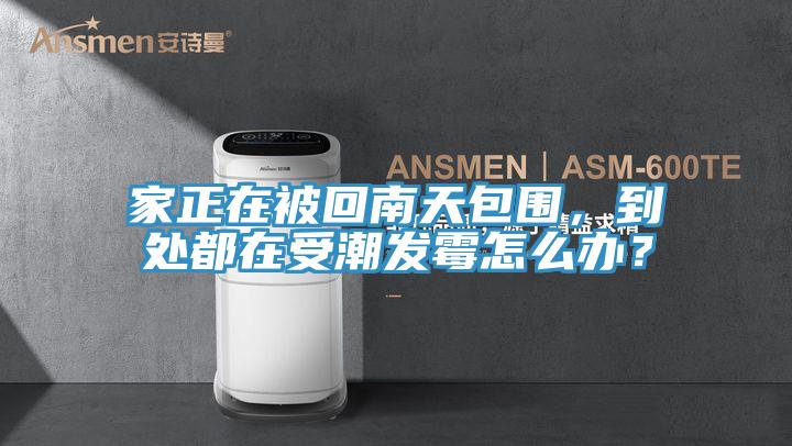 家正在被回南天包圍，到處都在受潮發霉怎么辦？