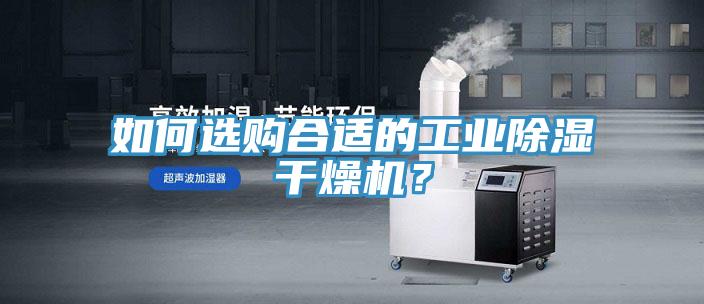 如何選購合適的工業除濕干燥機？