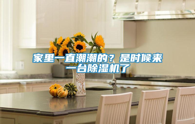 家里一直潮潮的？是時候來一臺除濕機了
