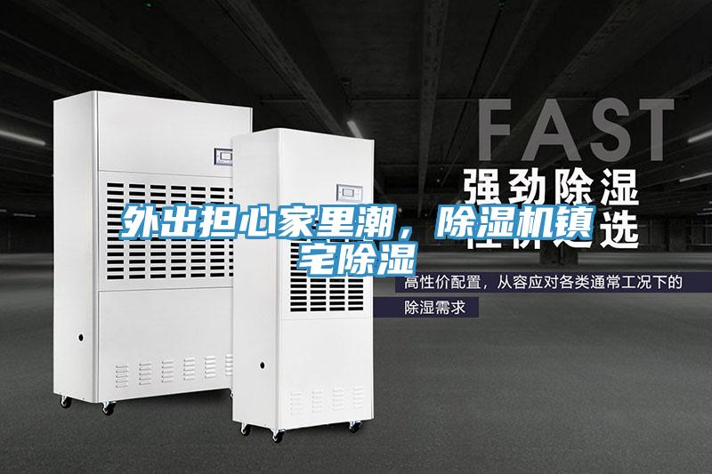 外出擔心家里潮，除濕機鎮宅除濕