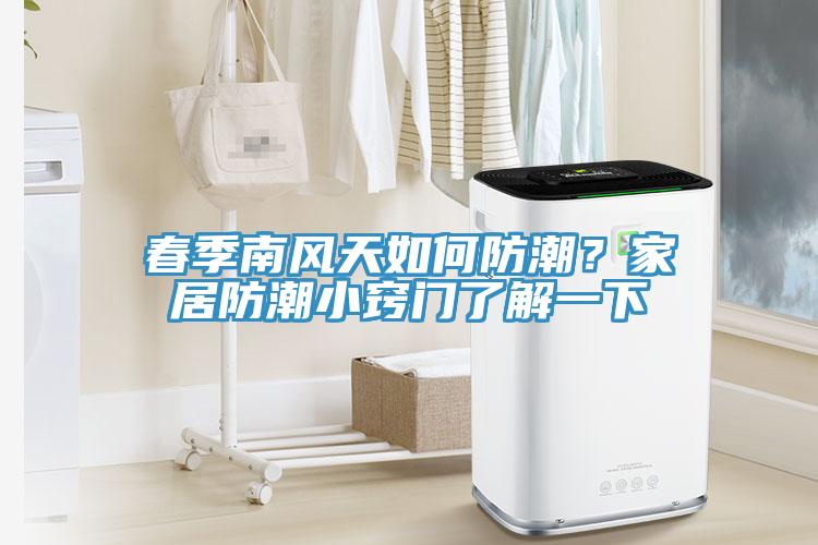 春季南風天如何防潮？家居防潮小竅門了解一下