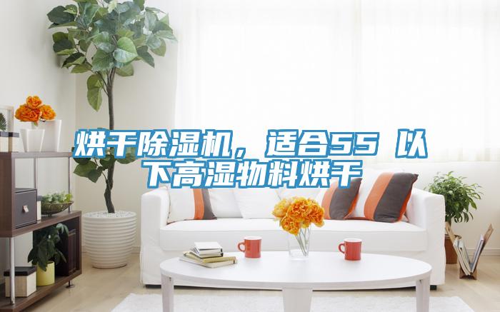 烘干除濕機，適合55℃以下高濕物料烘干