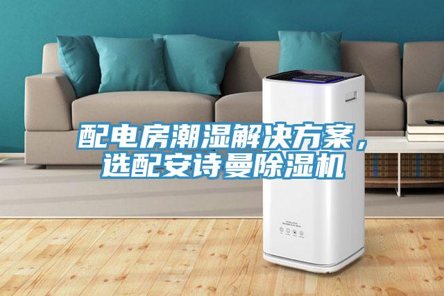 配電房潮濕解決方案，選配安詩(shī)曼除濕機(jī)