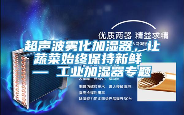 超聲波霧化加濕器，讓蔬菜始終保持新鮮 — 工業加濕器專題