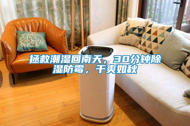 拯救潮濕回南天，30分鐘除濕防霉，干爽如秋