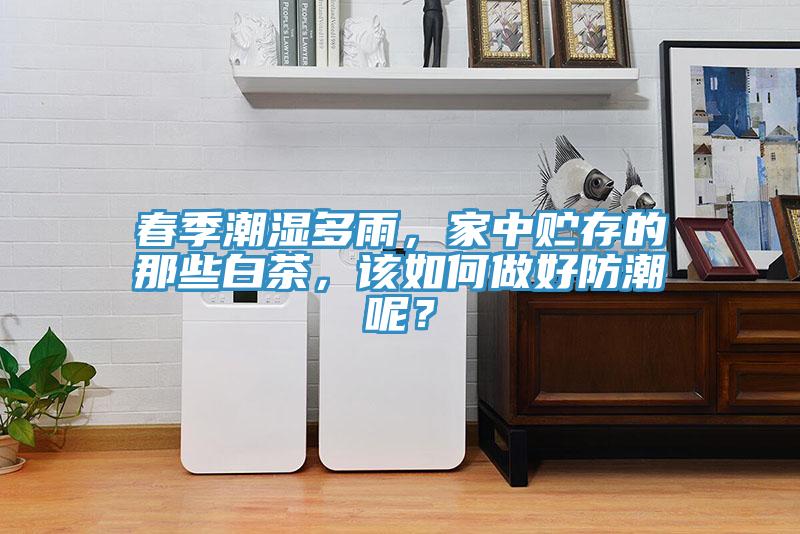 春季潮濕多雨，家中貯存的那些白茶，該如何做好防潮呢？