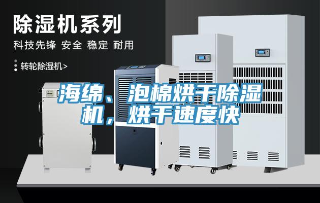 海綿、泡棉烘干除濕機，烘干速度快