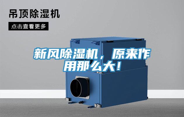 新風(fēng)除濕機(jī)，原來(lái)作用那么大！