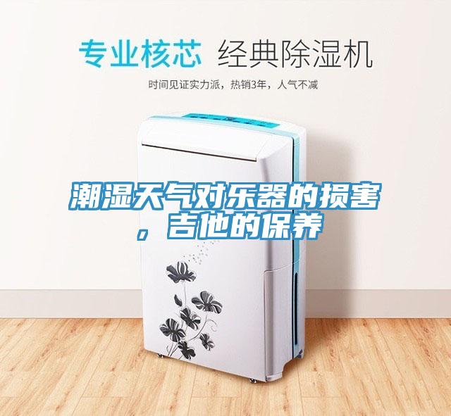 潮濕天氣對樂器的損害，吉他的保養