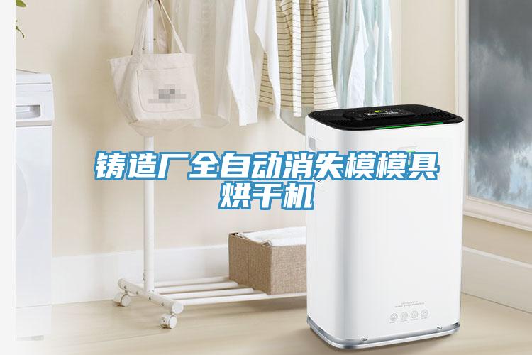 鑄造廠(chǎng)全自動(dòng)消失模模具烘干機(jī)