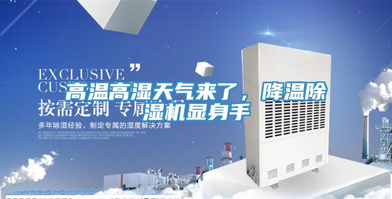 高溫高濕天氣來了，降溫除濕機顯身手