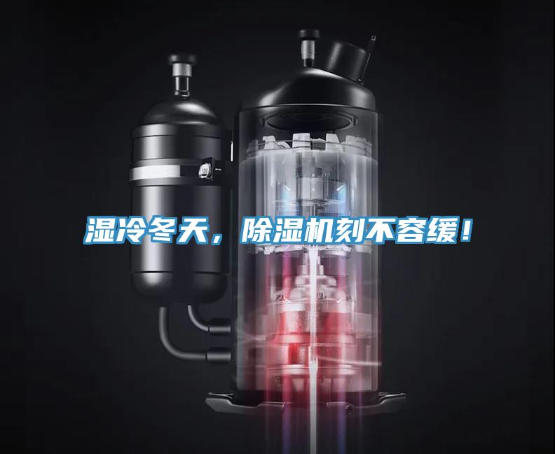 濕冷冬天，除濕機刻不容緩！