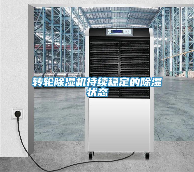轉輪除濕機持續(xù)穩(wěn)定的除濕狀態(tài)