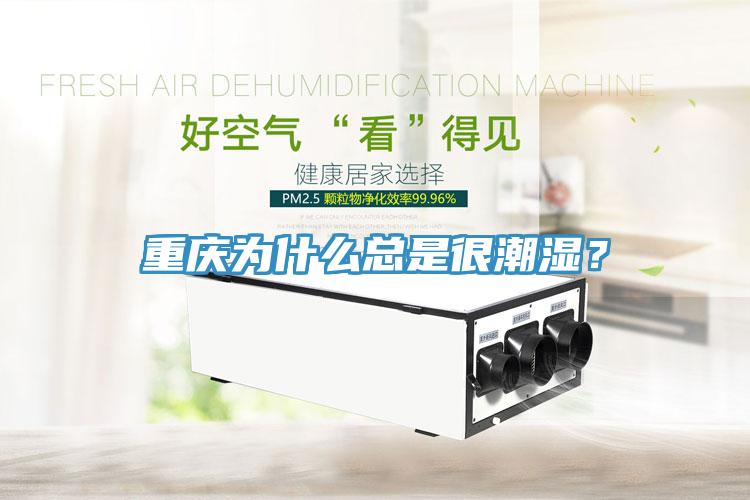 重慶為什么總是很潮濕？