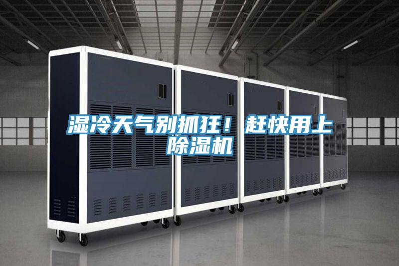 濕冷天氣別抓狂！趕快用上除濕機