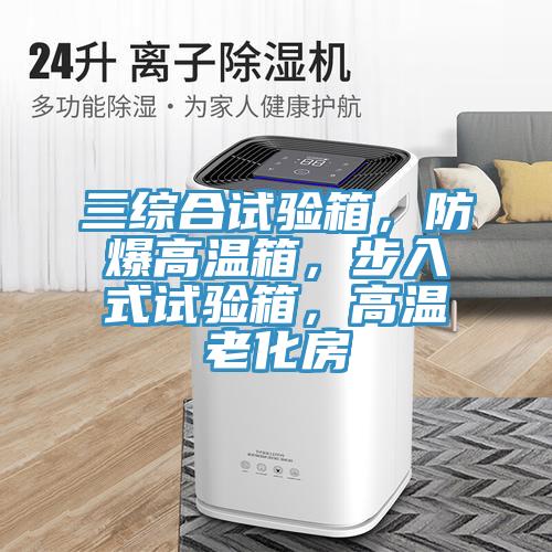 三綜合試驗箱，防爆高溫箱，步入式試驗箱，高溫老化房