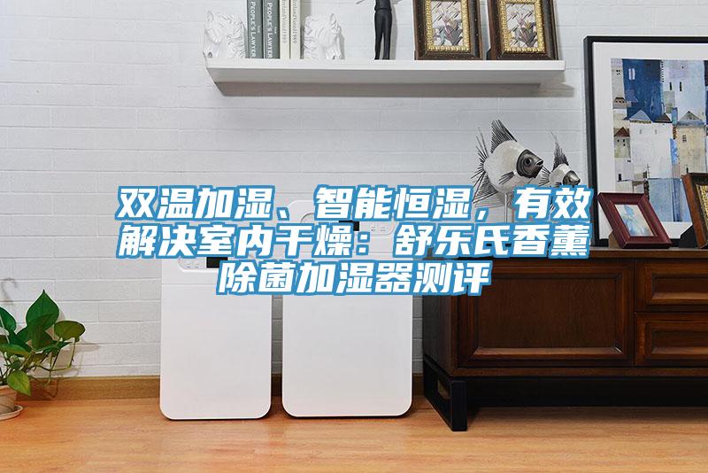 雙溫加濕、智能恒濕，有效解決室內干燥：舒樂氏香薰除菌加濕器測評
